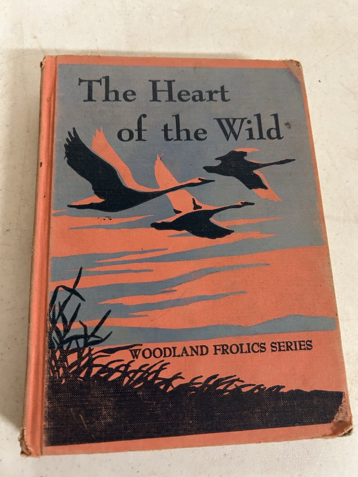 The Heart of the Wild Woodland Frolics Series 1955 School Reading Textbook Texas