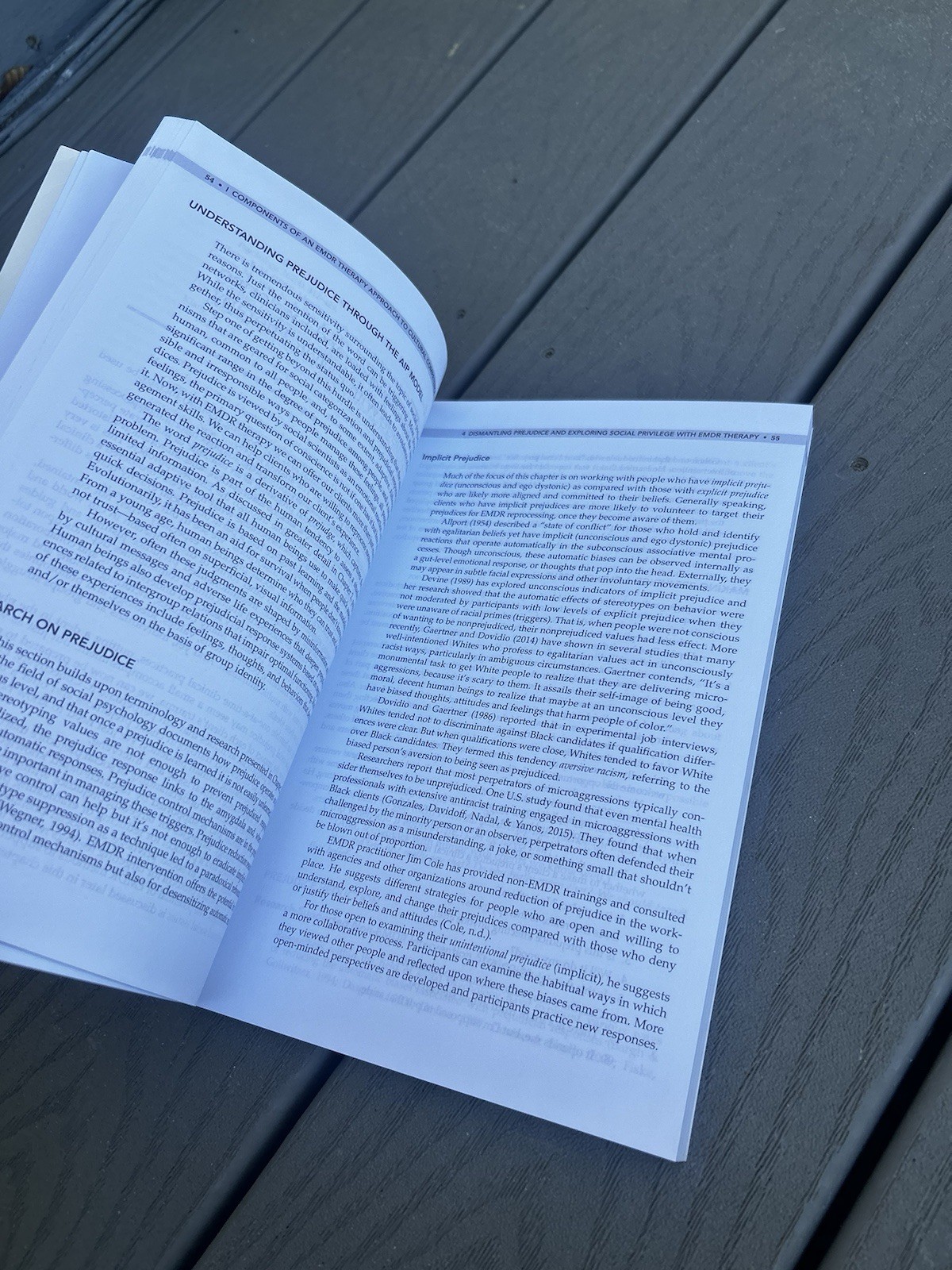 Cultural Competence and Healing Culturally Based Trauma with EMDR Therapy