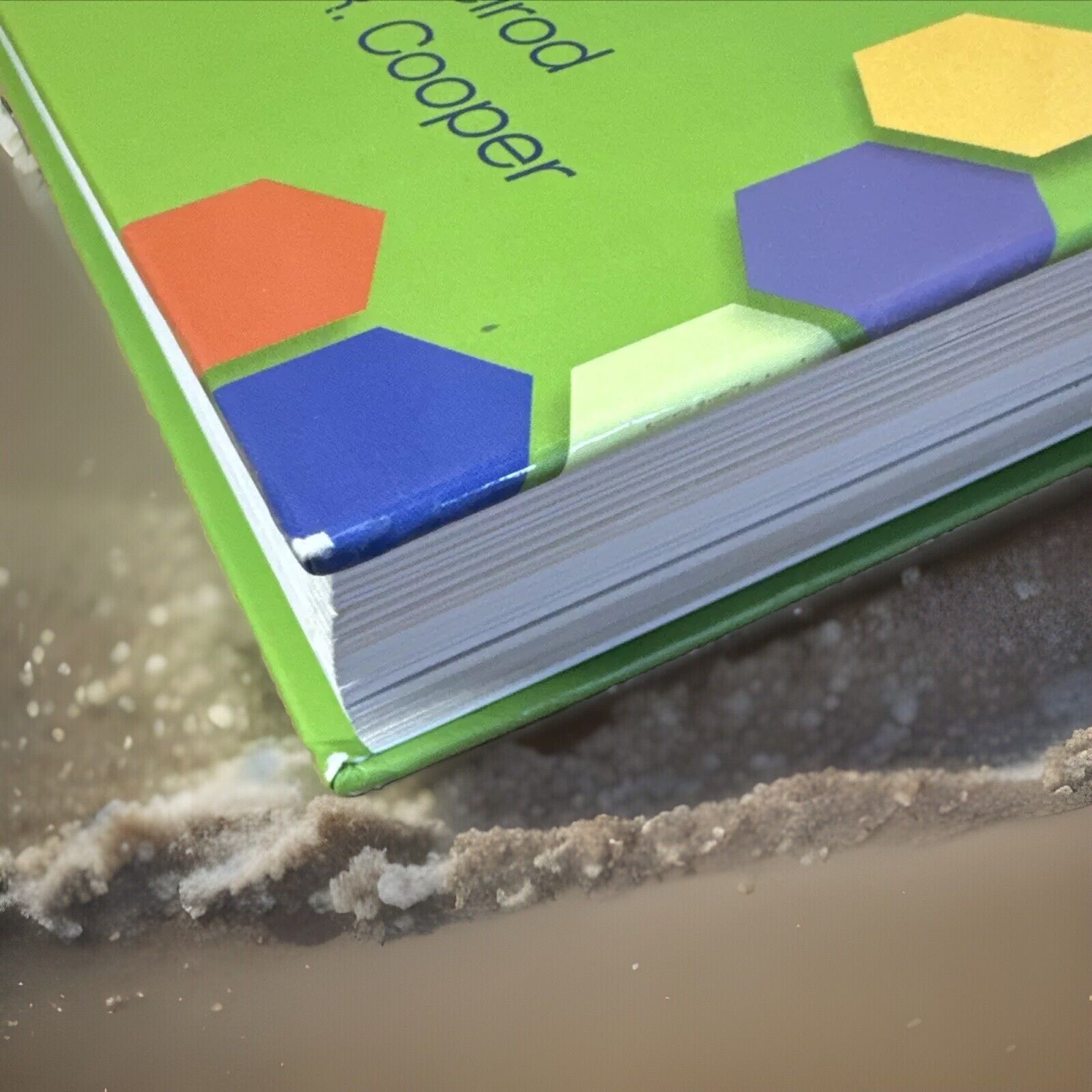 The St. Martin’s Guide to Writing Hard Back Book