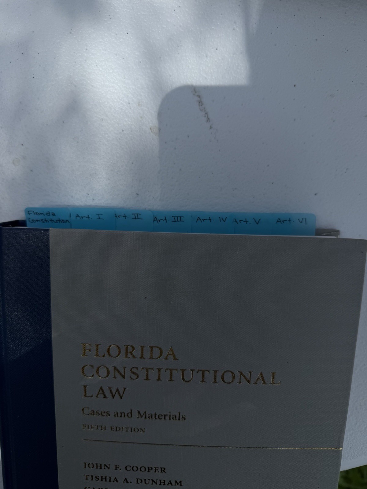 Carolina Academic Press Florida Constitutional Law 5th Ed Hardcover Cooper