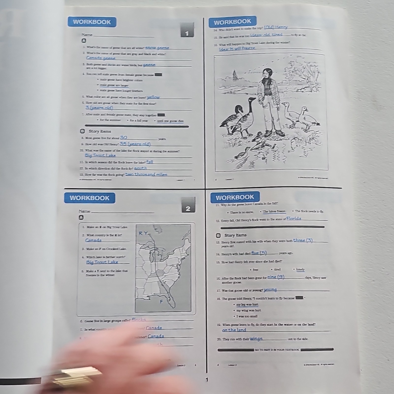 SRA/McGraw-Hill Reading Mastery Signature Ed Answer Key Grade 3 2008