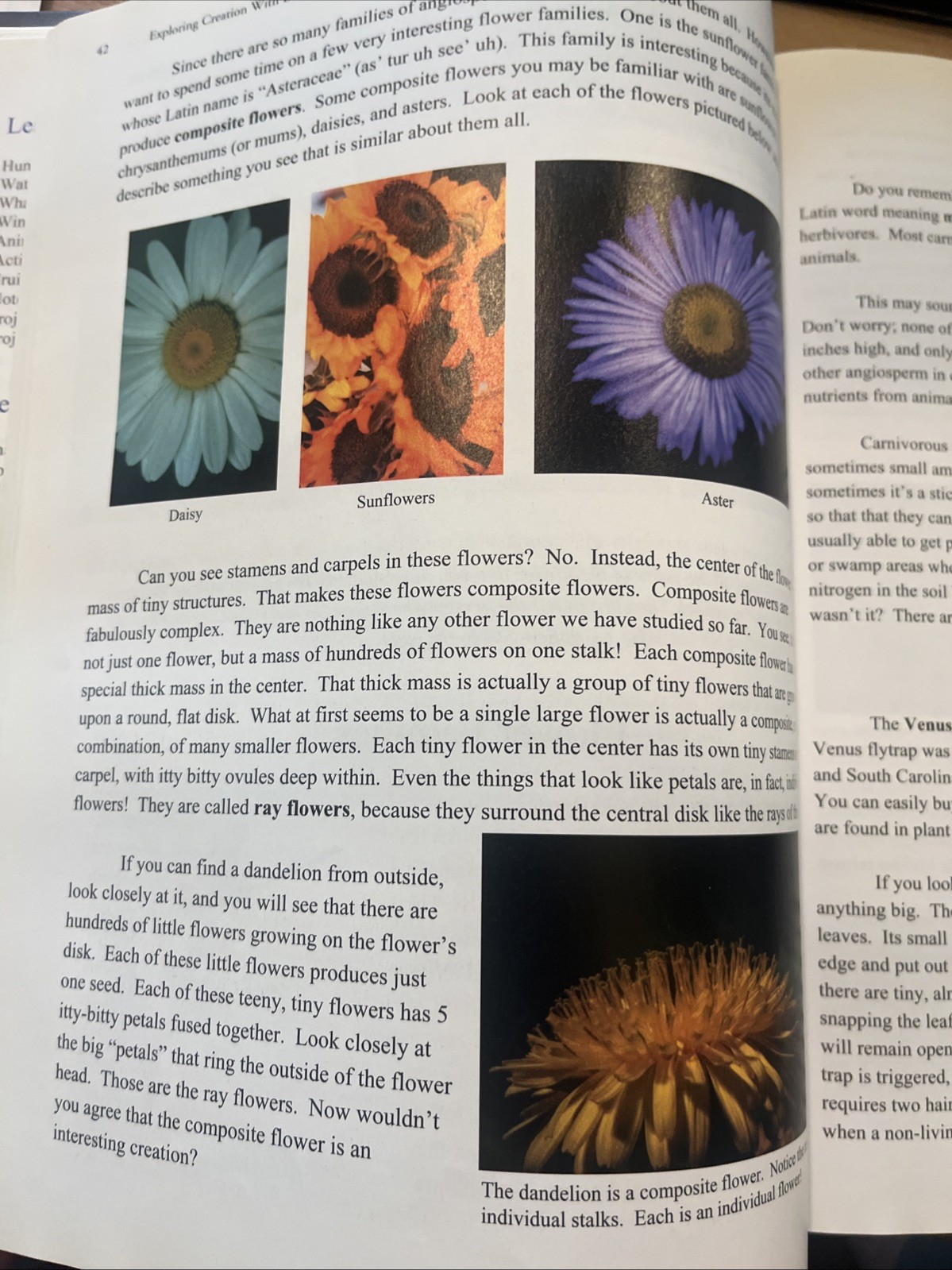 Young Explorer Series Exploring Creation with Botany – great condition