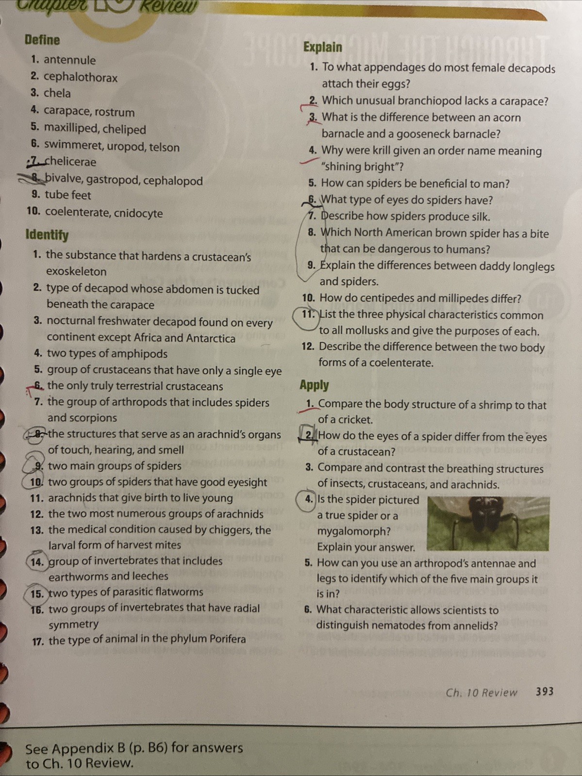 Abeka Science: Order and Design Teacher Edition Volumes 1 and 2 – Second Edition