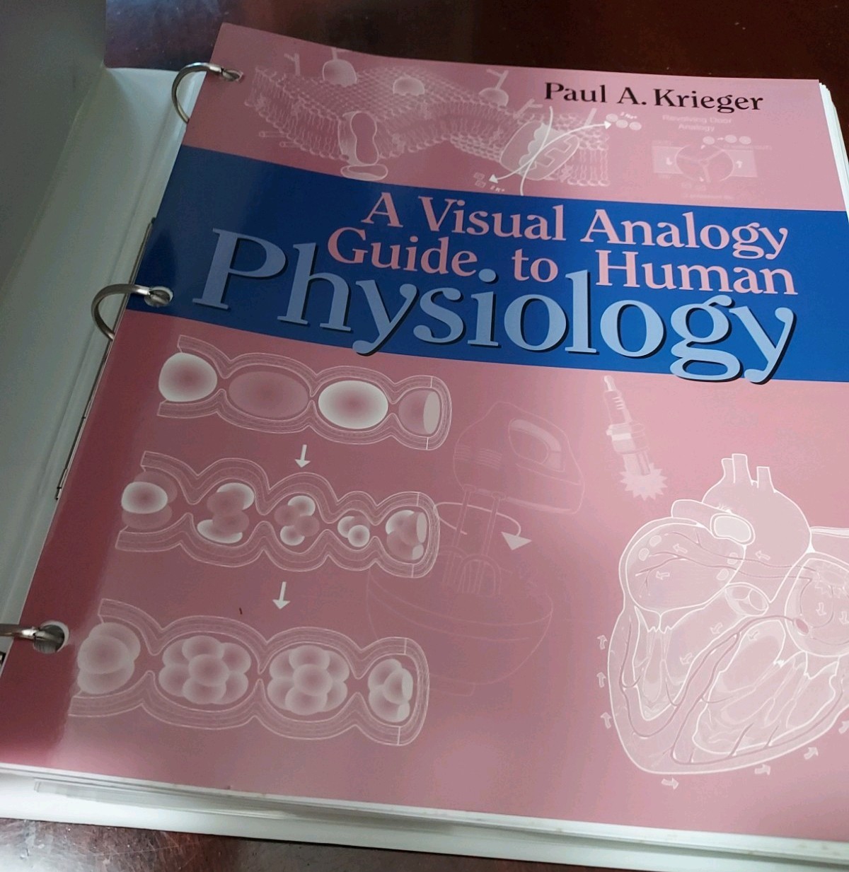 A Visual Analogy Guide to Human Physiology by Paul A. Krieger Anatomy QG & Test
