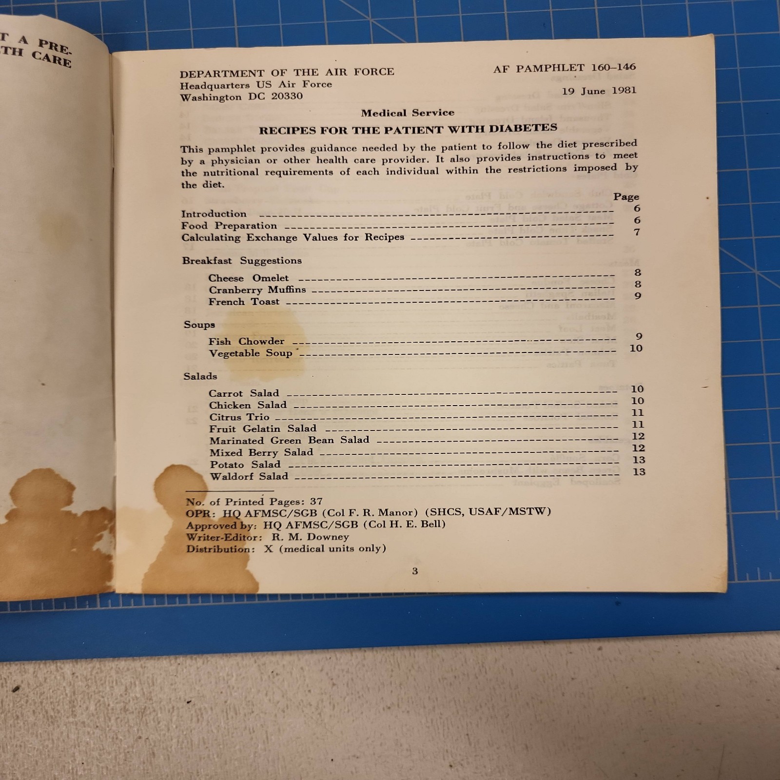 1981 AFP 160-146 Recipes Patient with Diabetes Air Force Medical Pamphlet Vintag