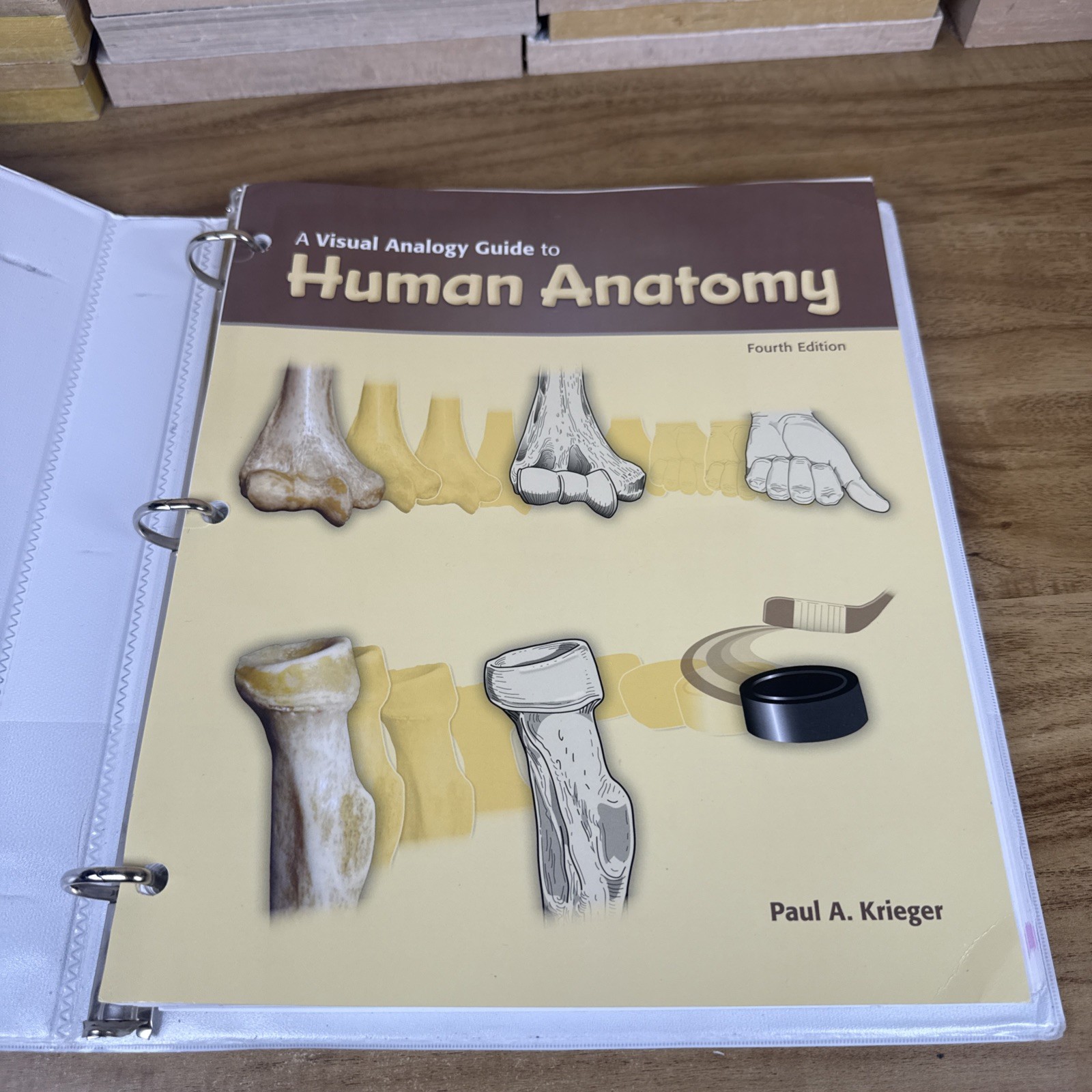 Visual Analogy Guide to Human – Loose Leaf, by Krieger Paul A. – Acceptable