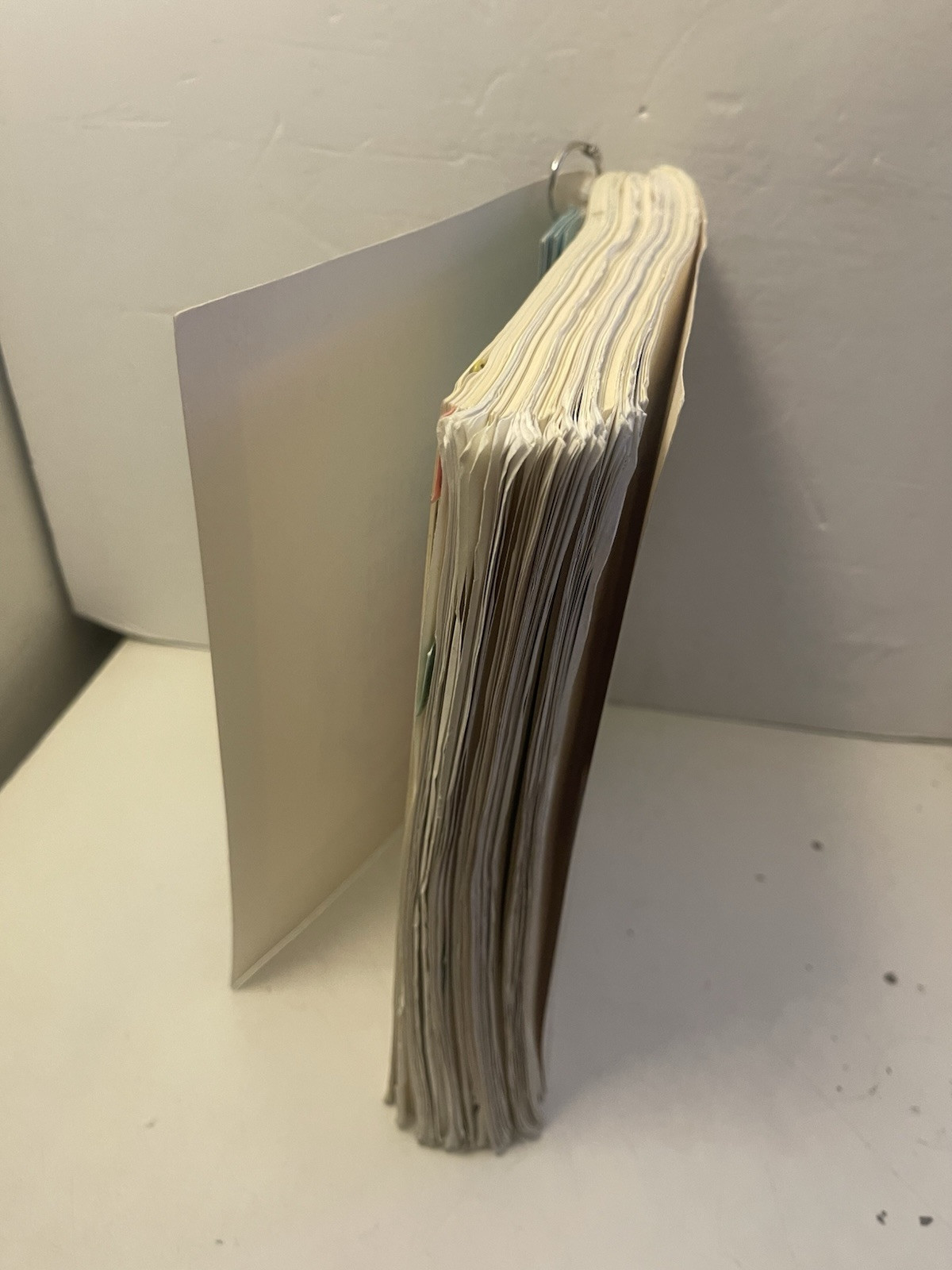 DBT Skills Training Handouts and Worksheets 2014 Spiral Bound Paperback
