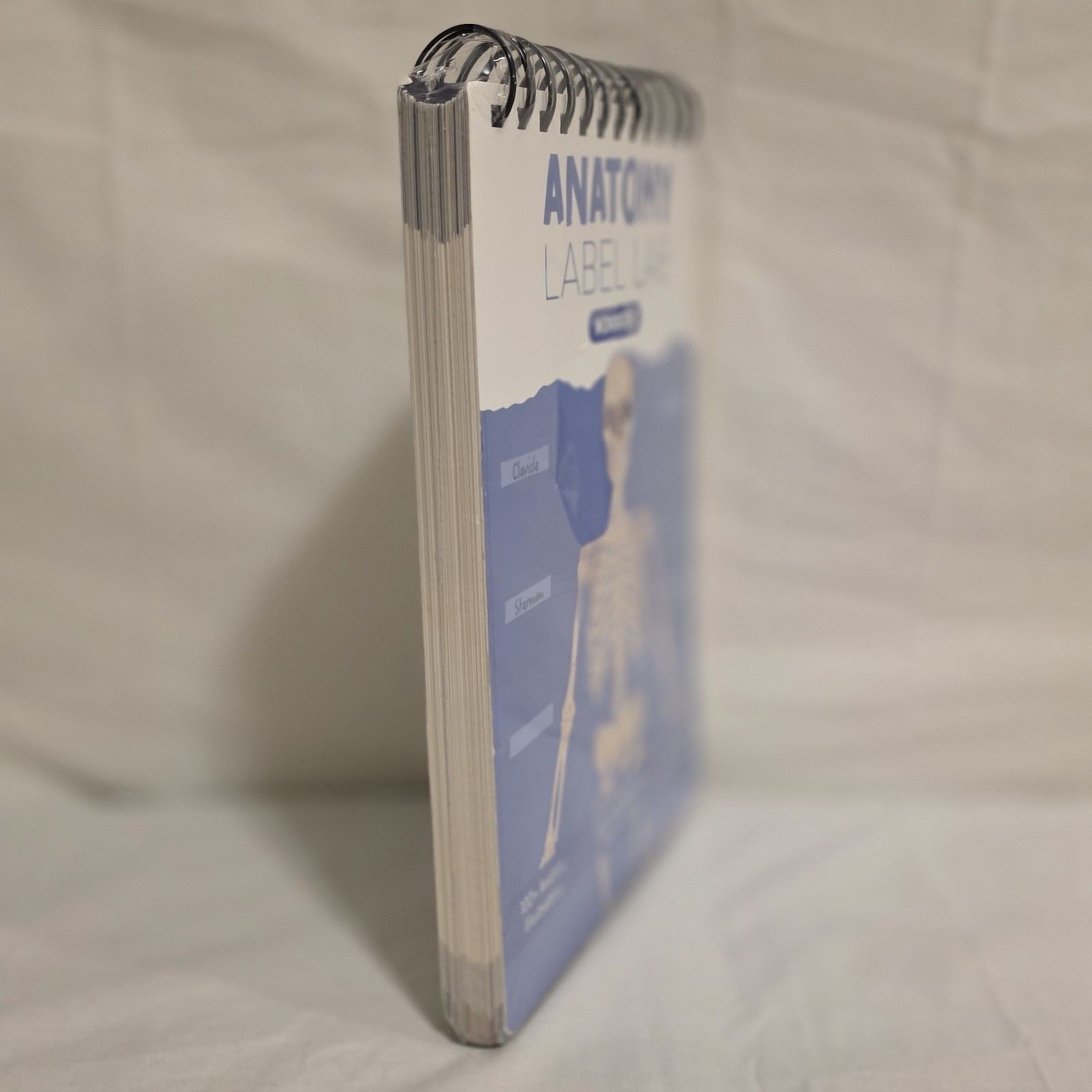 Human Anatomy Label Lab Workbook Medical Students 100+ Illustrations Laminated