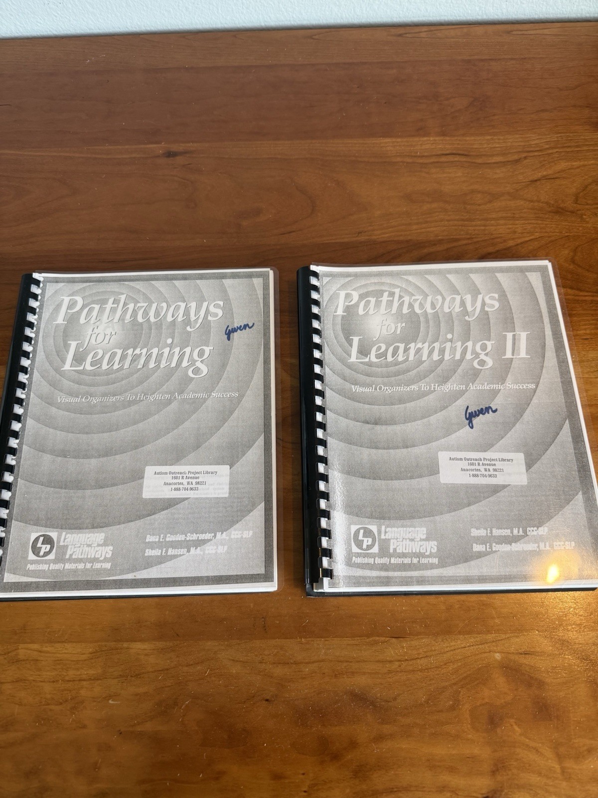 Set: Linguisystems Pathways for Learning Visual Organizers for Academic Success