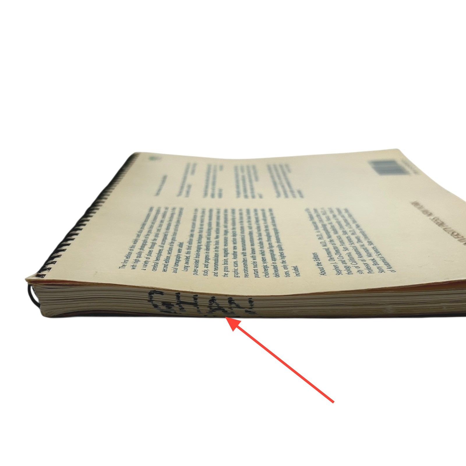 Structure of the Human Brain A Photographic Atlas Third Edition Textbook