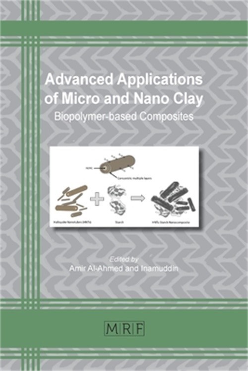 Advanced Applications of Micro and Nano Clay: Biopolymer-based Composites (Paper