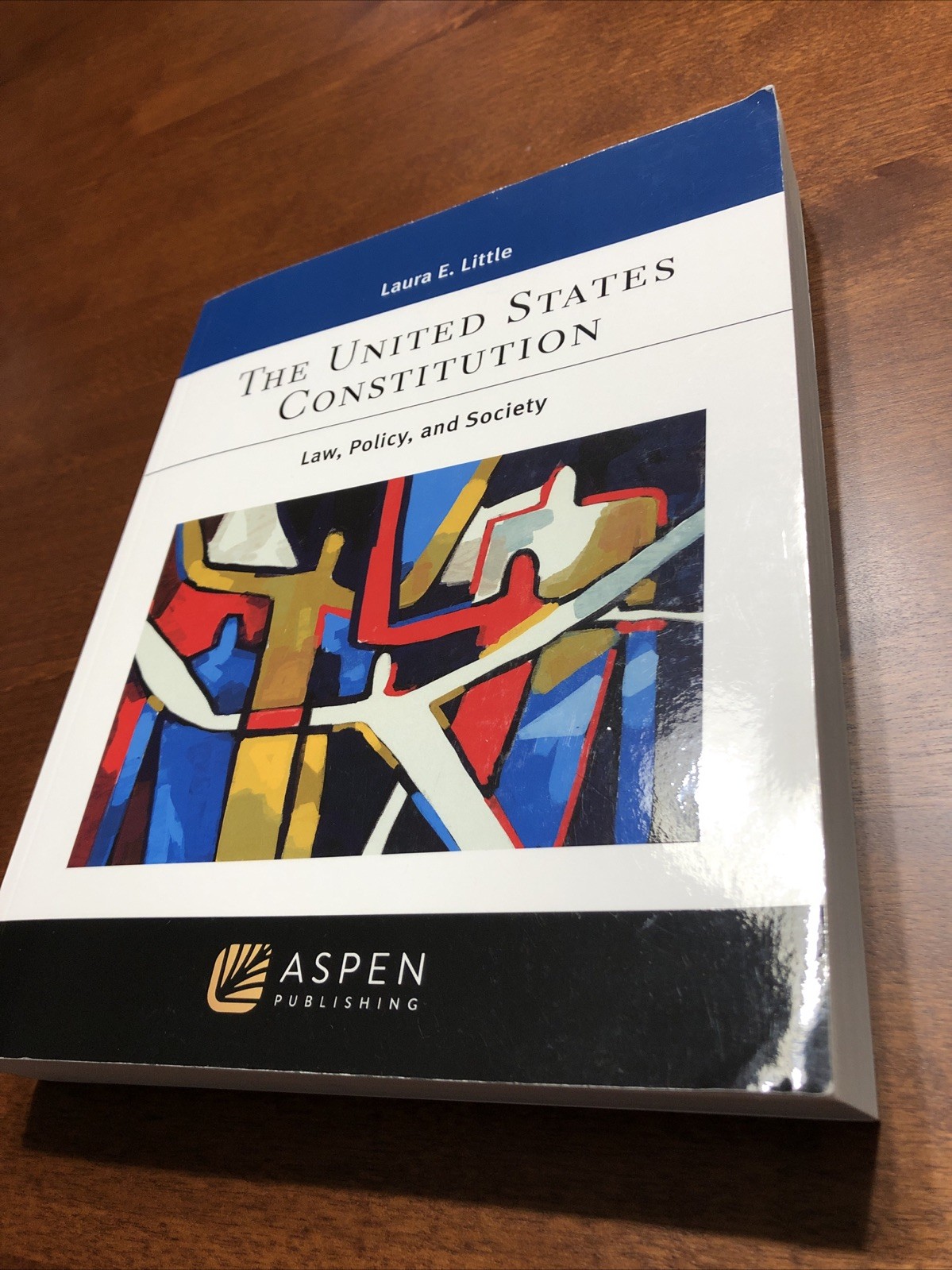 The United States Constitution : Law, Policy, and Society (Laura E. Little)