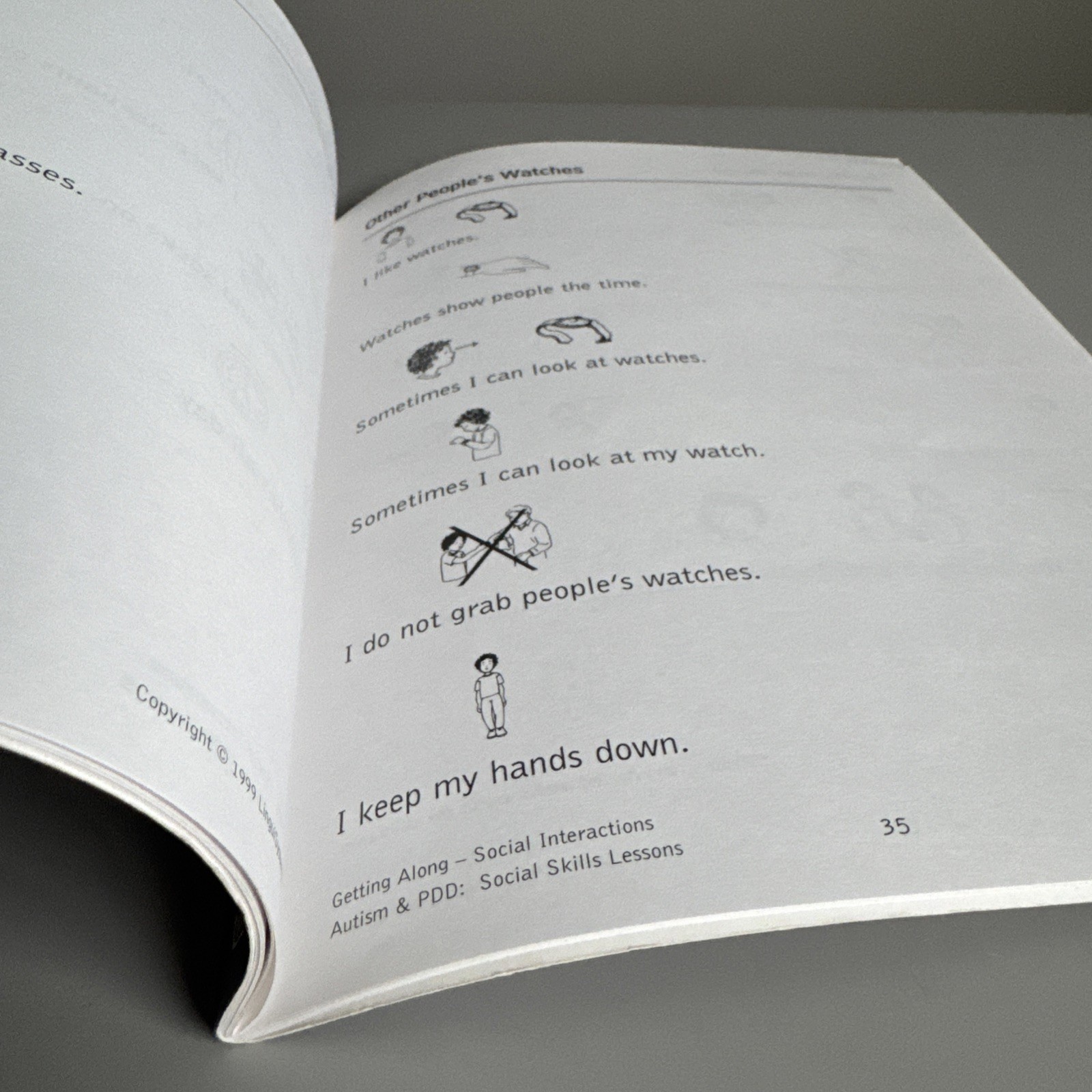 AUTISM & PDD SOCIAL SKILLS LESSONS Getting Along Ages 3-8 Lingui Systems Book