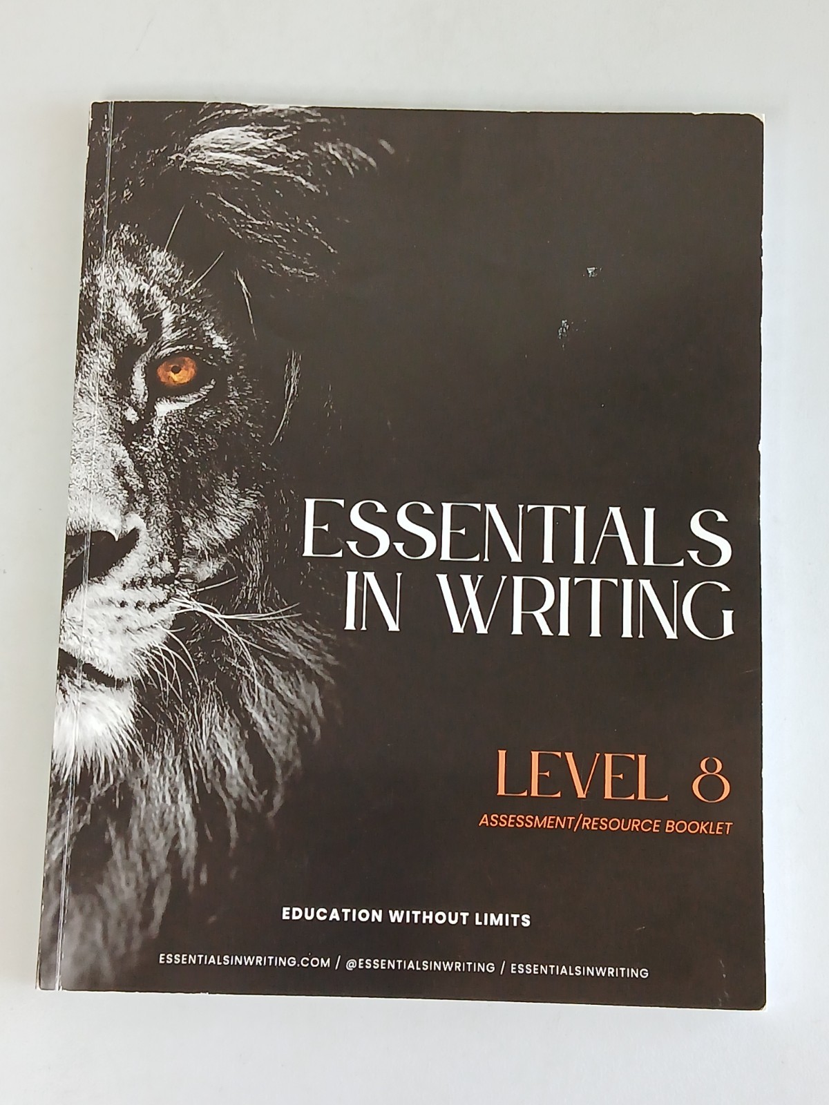 Stephens ESSENTIALS IN WRITING 2nd Edition Book Lot Updated 2023 Used SEE NOTES