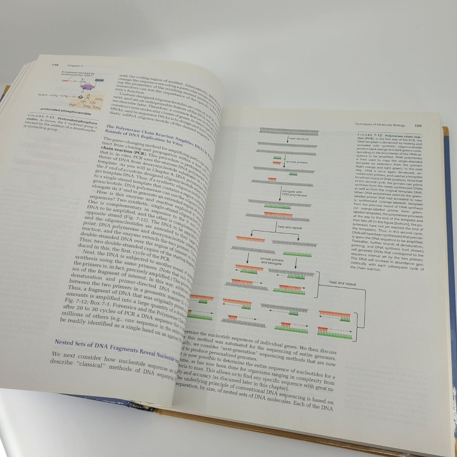 Molecular Biology of the Gene Seventh Edition Textbook 2014 James Watson Pearson