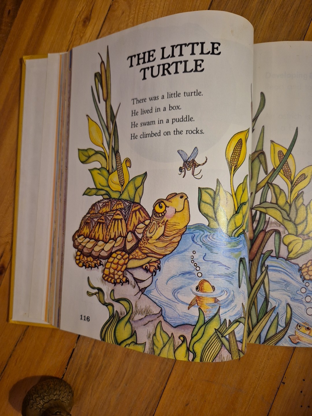 In The Wild Reading Textbook – Reading Express Early Readers – HC