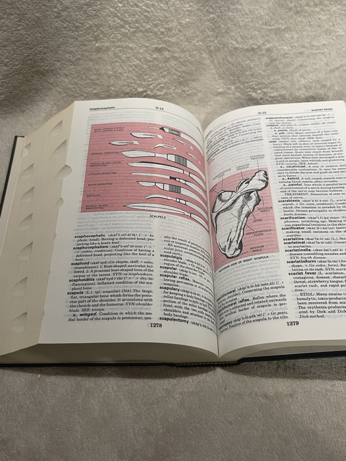 Taber’s Cyclopedic Medical Dictionary – 1981 HC Second Printing