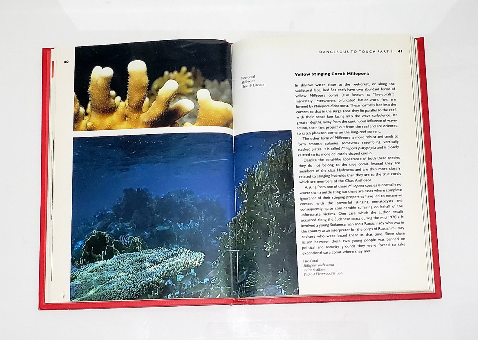 Red Sea Safety by Peter Vine – Hardback Immel Publishing – 144 pages