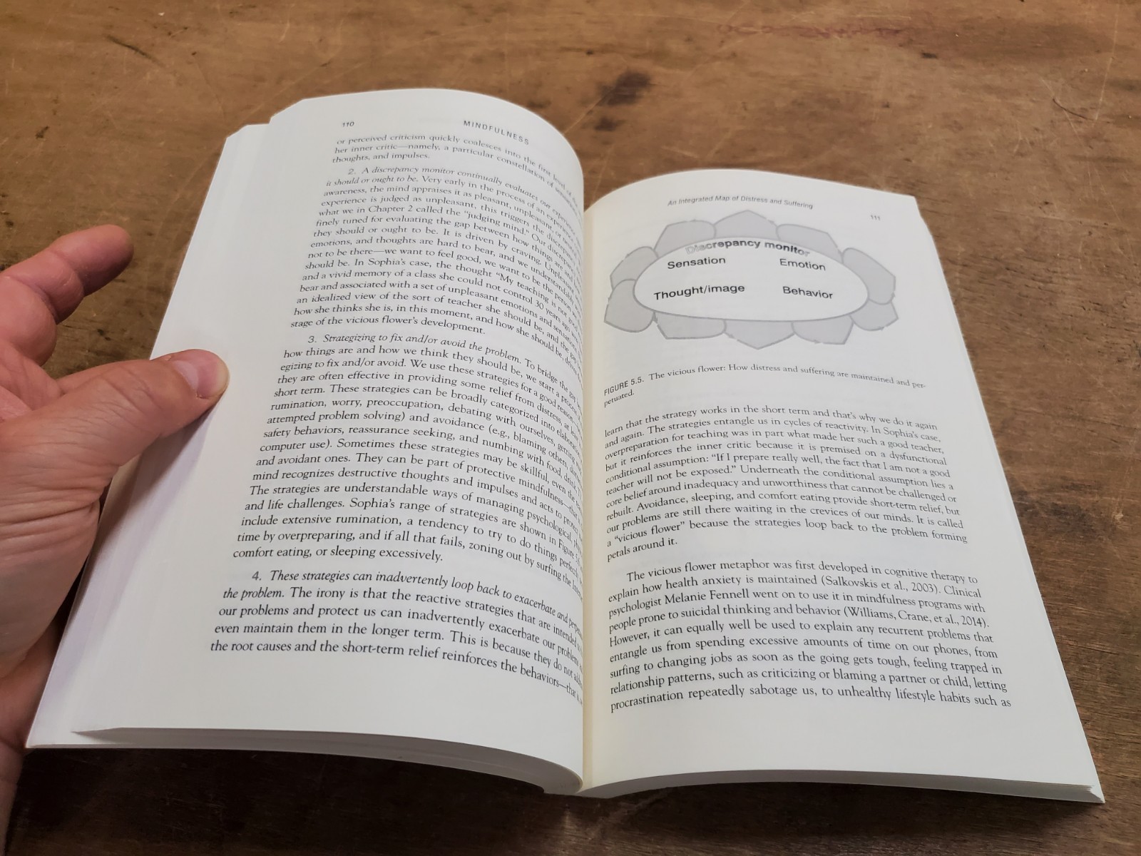 C. FELDMAN W. KUYKEN Mindfulness: Ancient Wisdom Meets Modern Psychology 2019 SC