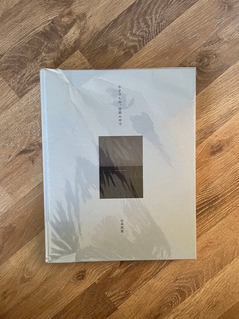 Small Things in Silence Masao Yamamoto 2021 New Sealed Japanese Photography