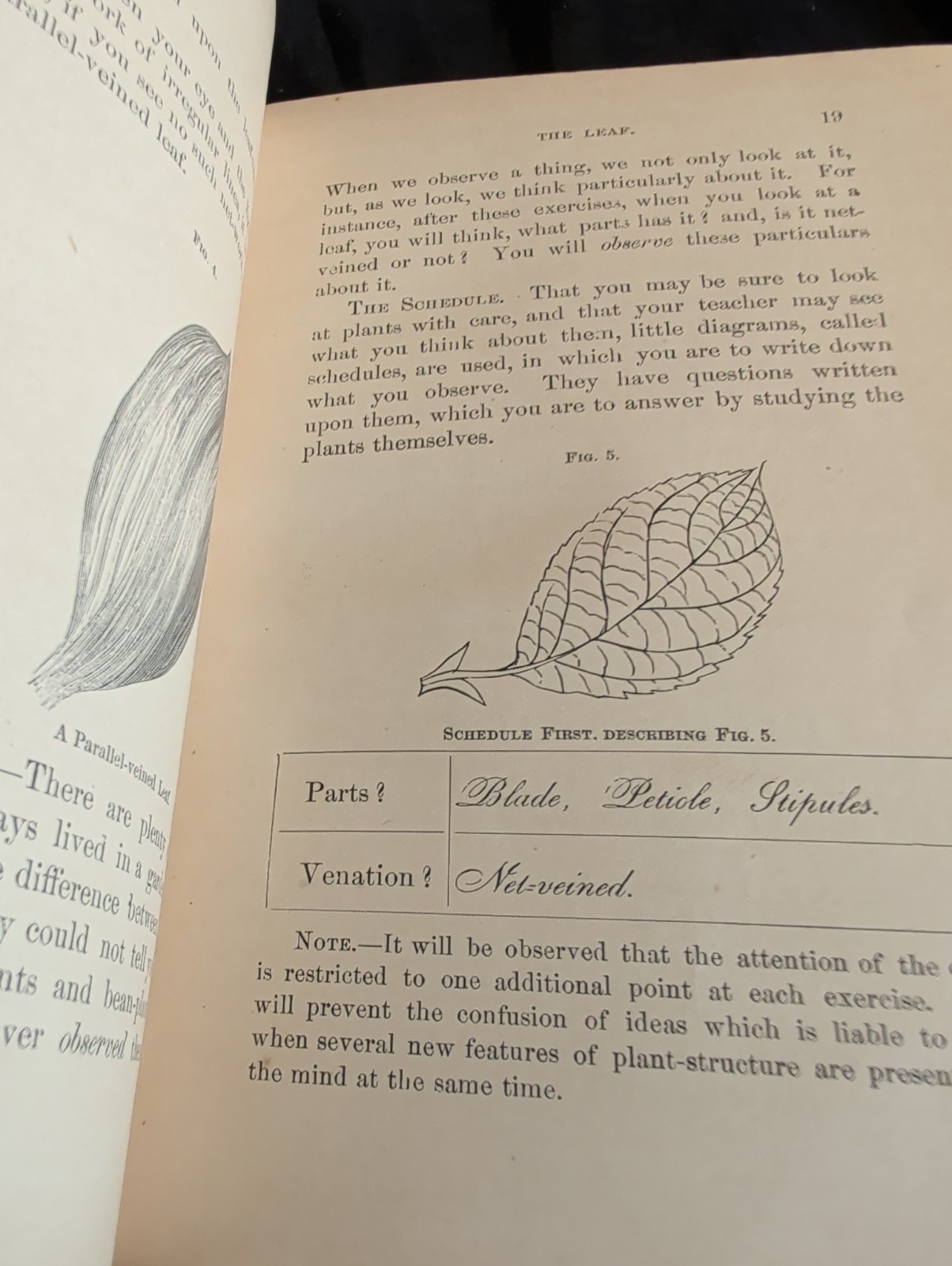 1872 First Book of Botany by Eliza A Youmans, Illustrated Hardcover 202 pages