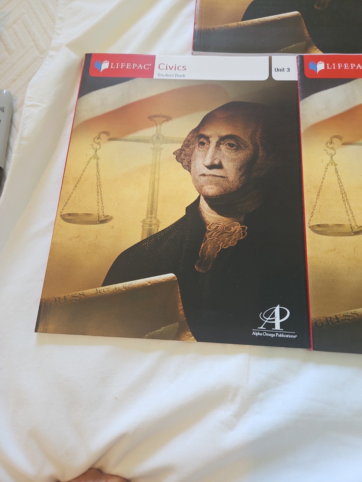 Alpha Omega Lifepac Civics Student Books 1 &2 Missing (B)