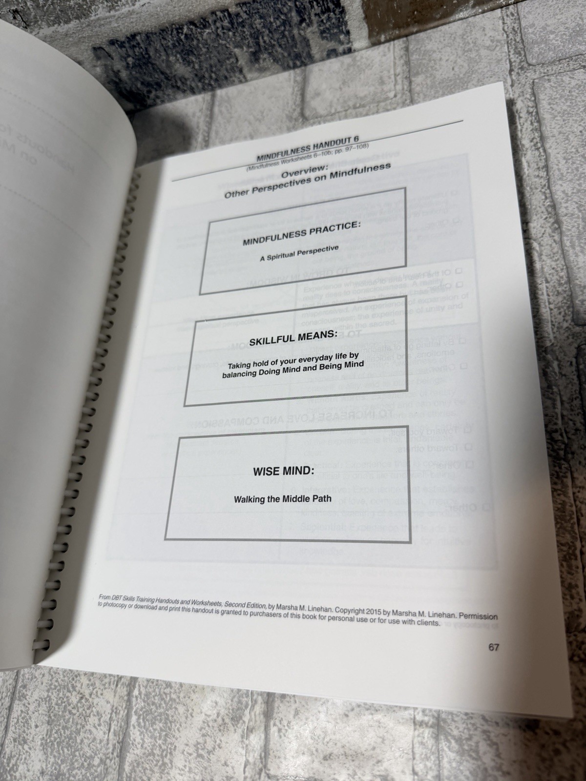 DBT Skills Training Handouts and Worksheets, Second Edition – GOOD