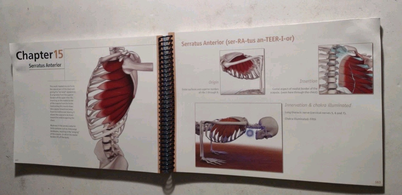 Scientific Keys Volume 1 The Key Muscles of Hatha Yoga by Raymond A. Long 2006.