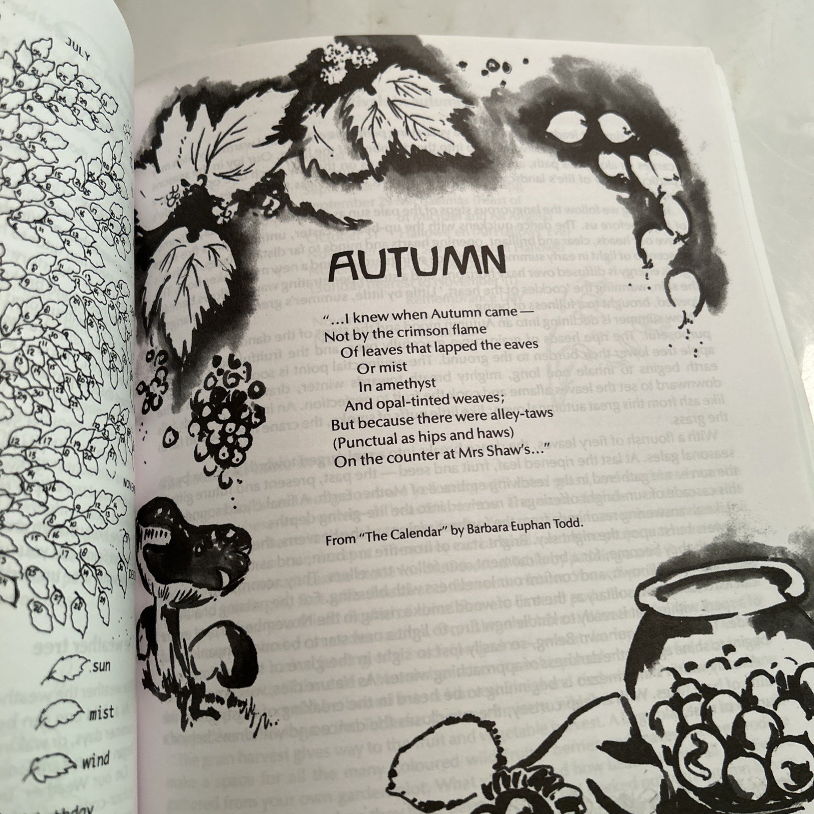 All Year Round: A Calendar of Celebrations Druitt Waldorf Homeschool Activities