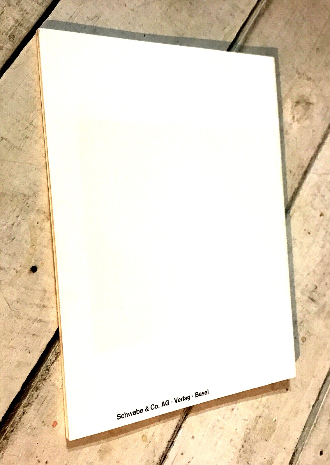 Pawel Althamer Kunsthalle Basel Contemporary Art Exhibition Catalog