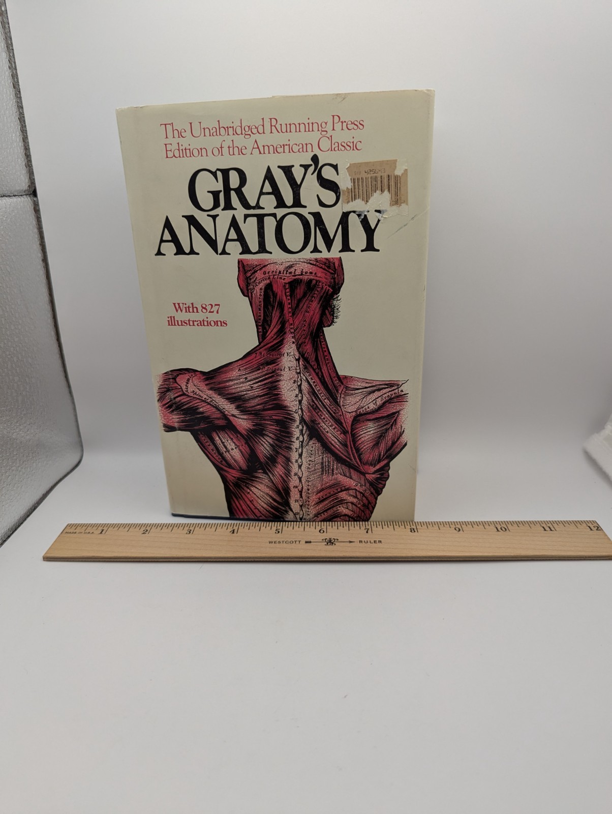 Gray’s Anatomy : The Unabridged Running Press Edition of the American Classic