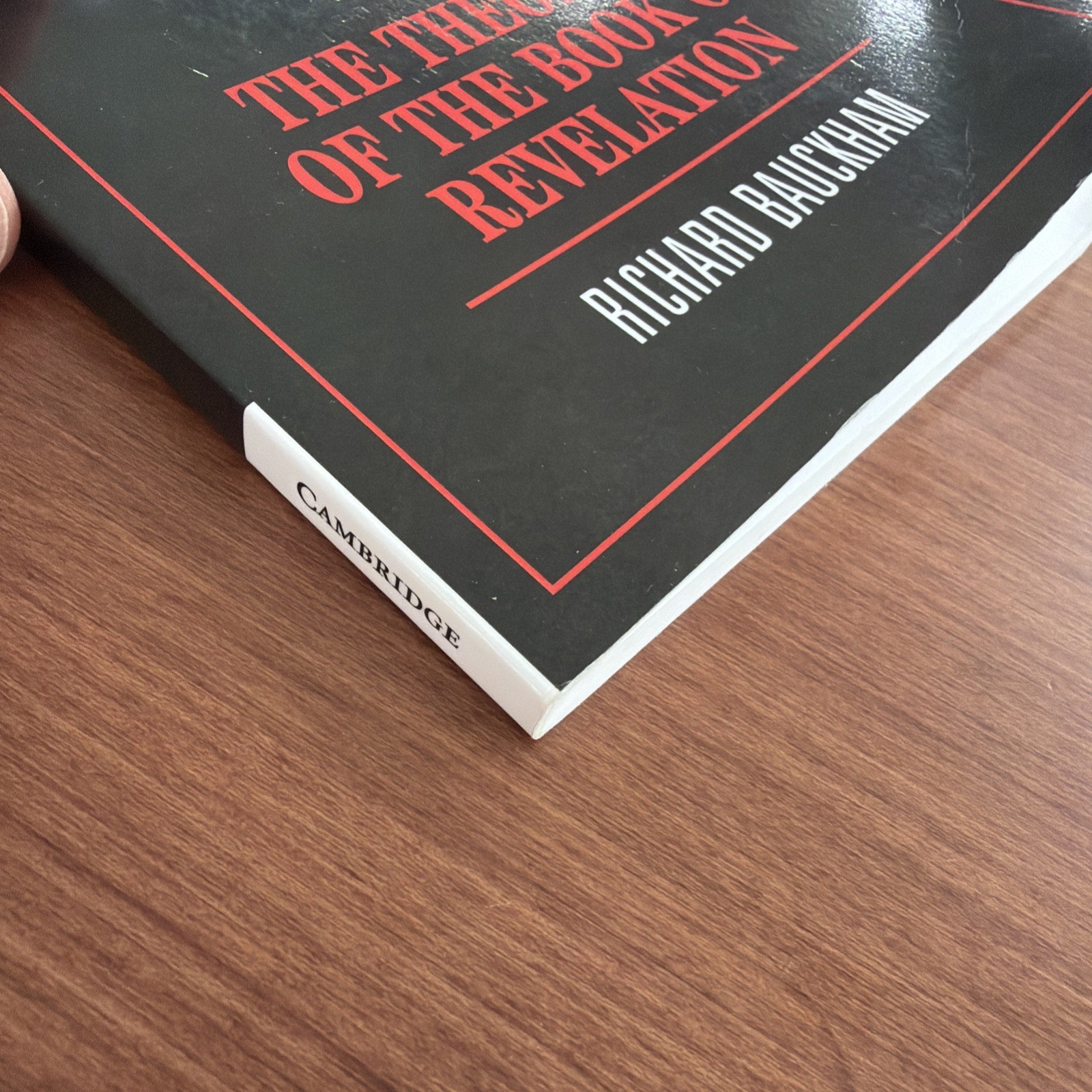 CLEAN COPY – Theology of the Book of Revelation by Richard Bauckham