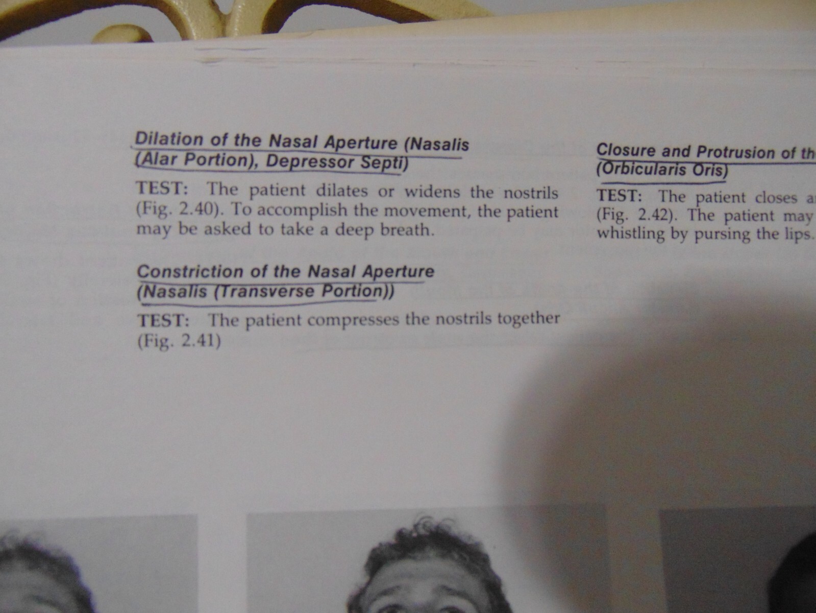 Musculoskeletal Assessment by Hazel Clarkson & Gail Gilewich Softcover 1989