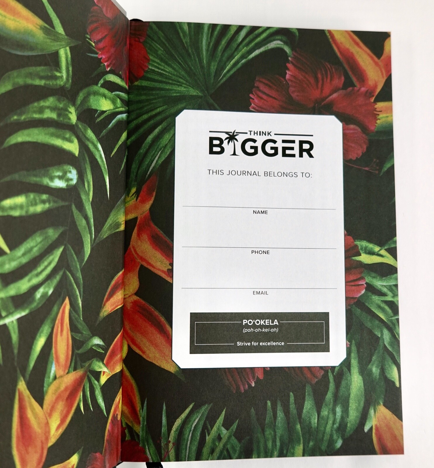 Journaling Books Goal Setting Accountability Lot of 6 Think Bigger