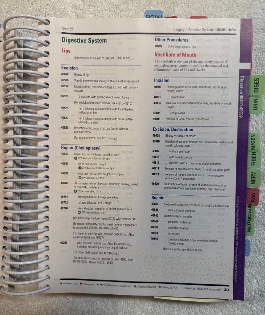 CPT 2024 Professional Edition (CPT coding book by AMA) — ISBN 9781640162846