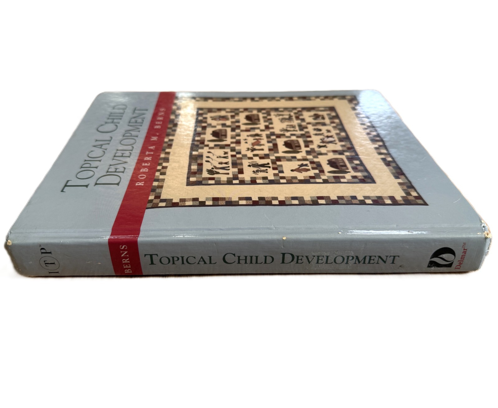 Topical Child Development Hardcover Roberta M. Berns 1994 Delmar Publishers