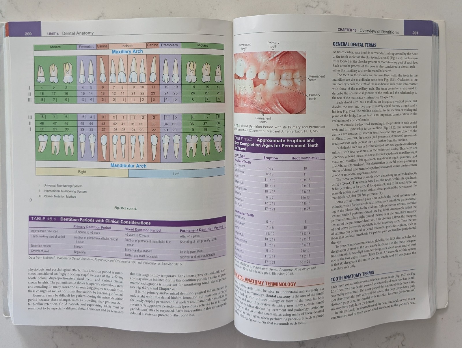 Illustrated Dental Embryology, Histology, and Anatomy by Margaret J. Fehrenbach