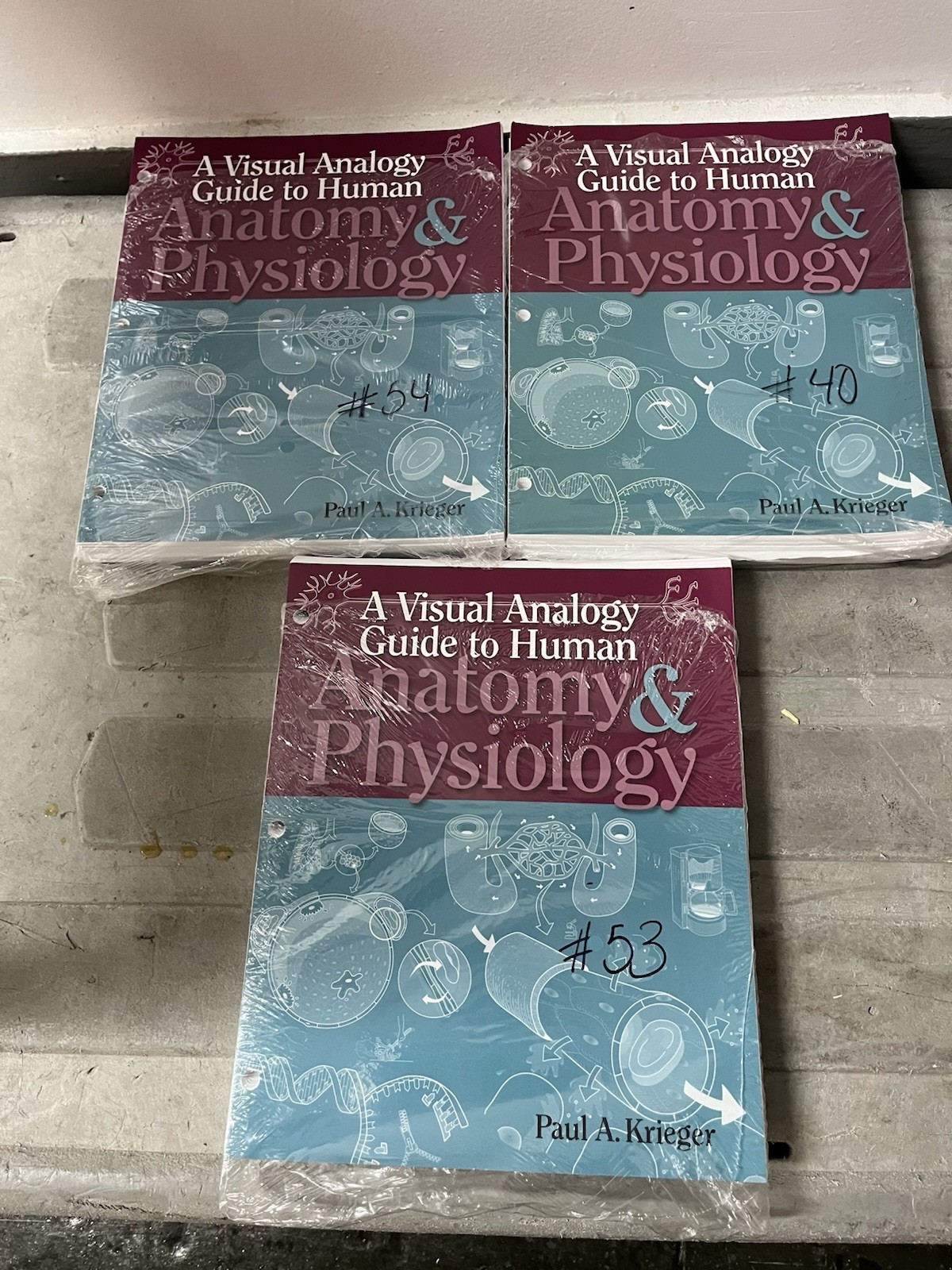 A Visual Analogy Guide to Human Anatomy & Physiology Paperback by Paul Krieger