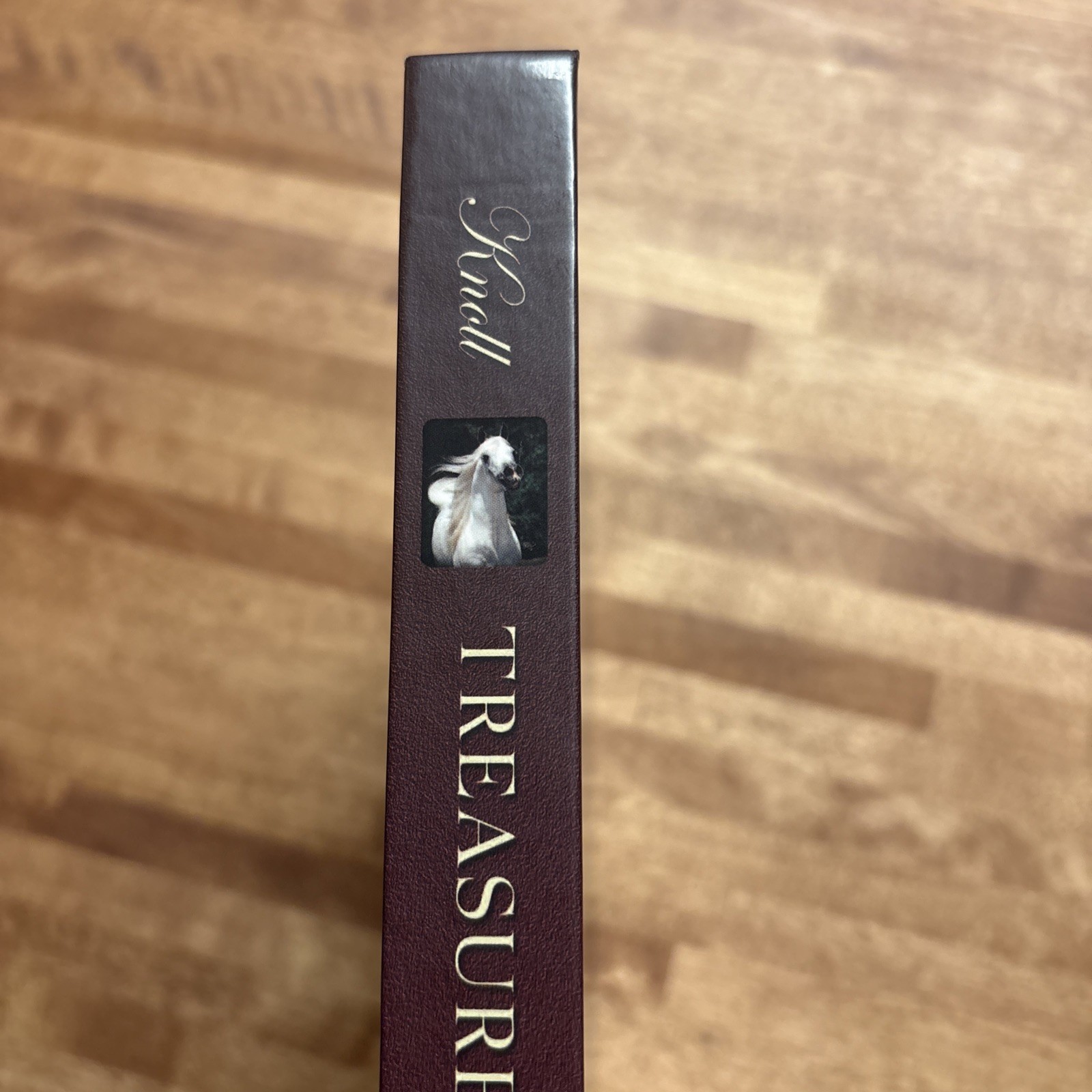 Treasures of a Lifetime by Polly Knoll A Look Into Heart & Soul Of Arabian Horse