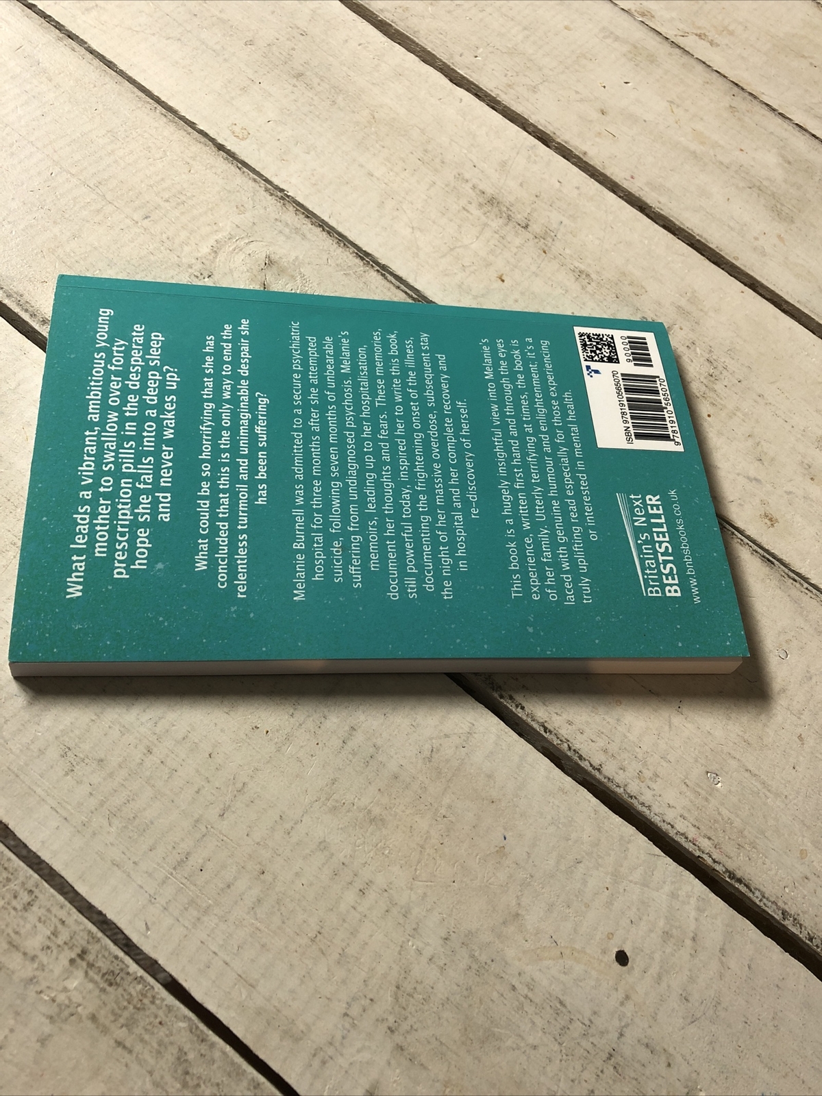 Day My Brain Slipped Out My Head Melanie Burnell Humorous Memoir PB
