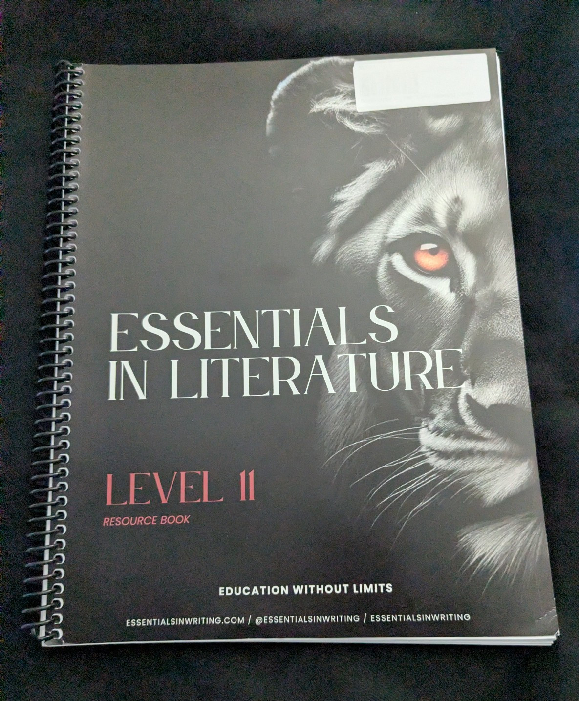 Essentials In Literature Level 11 Book ONLY 2023 update by Stephens