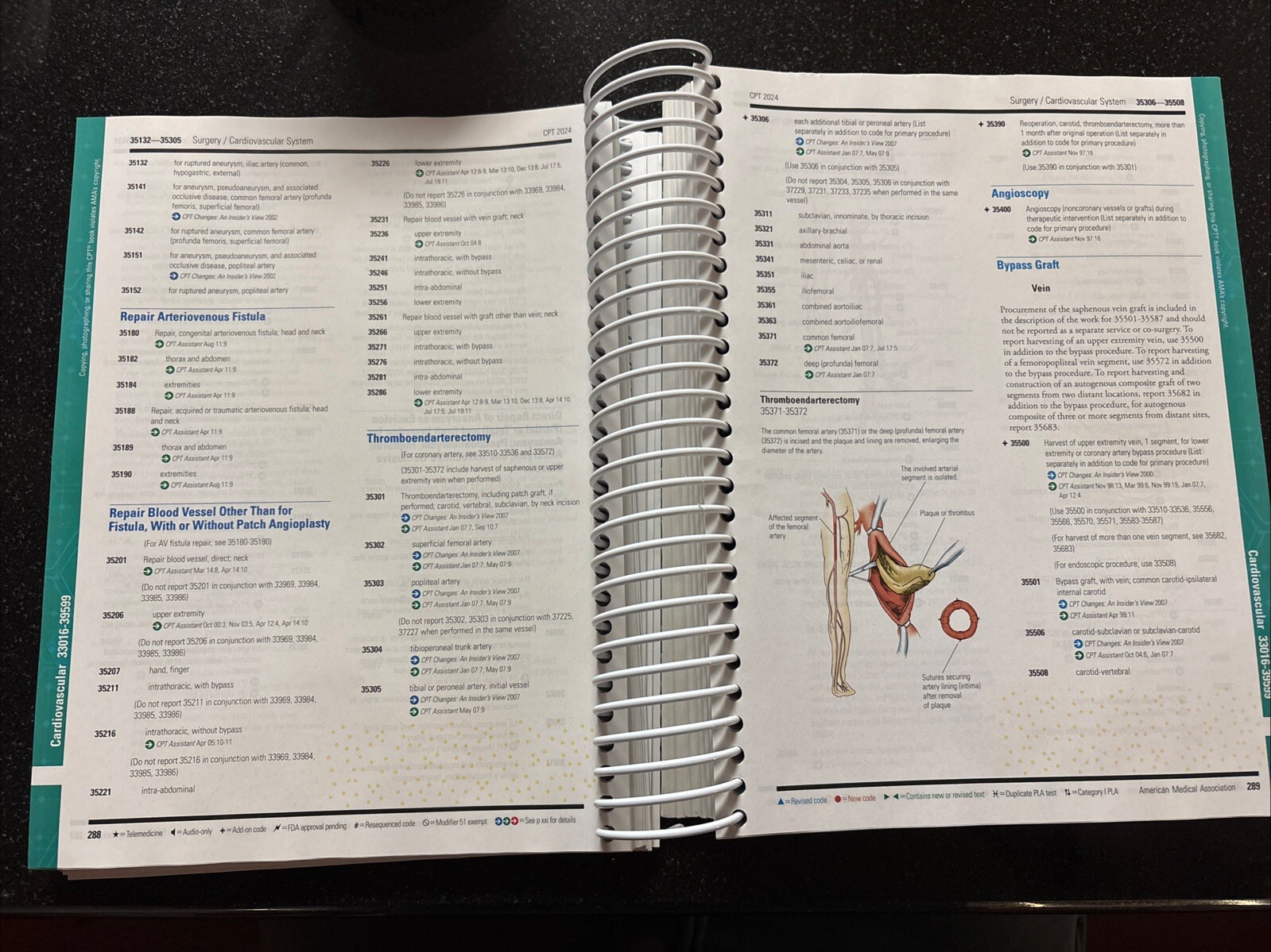 CPT Professional 2024 by American Medical Association (2023, Trade Paperback)