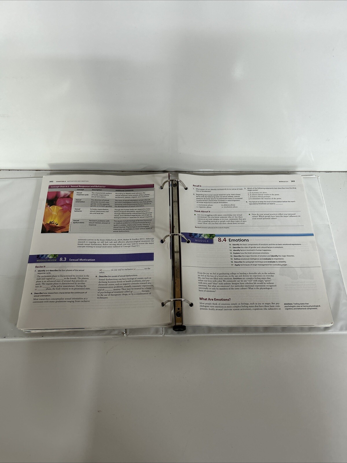 Essentials of Psychology: – Loose Leaf Bound 3 Ring Binder, by Jeffrey S Nevid