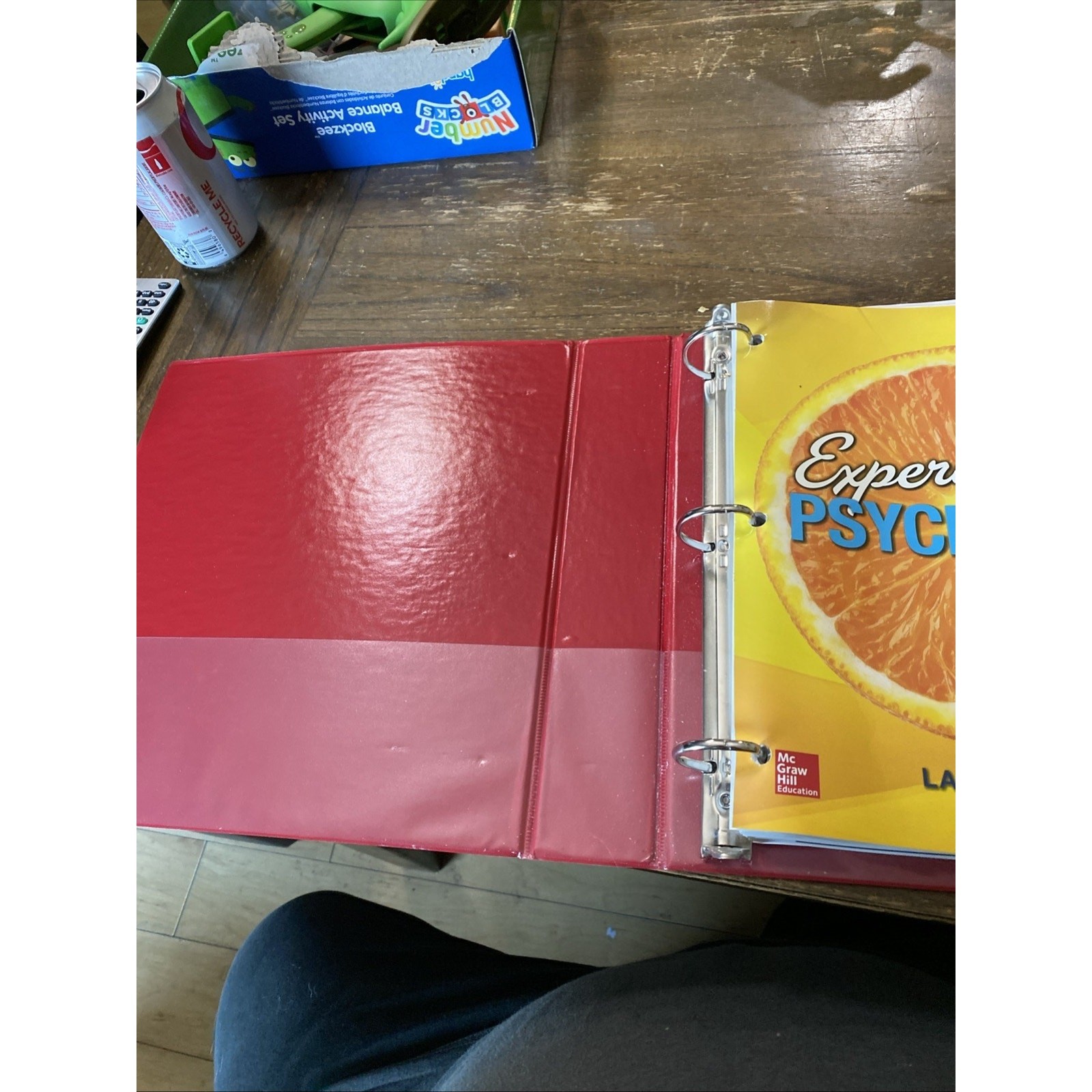 Loose Leaf Experience Psychology by Laura A. King (2015, Ringbound)