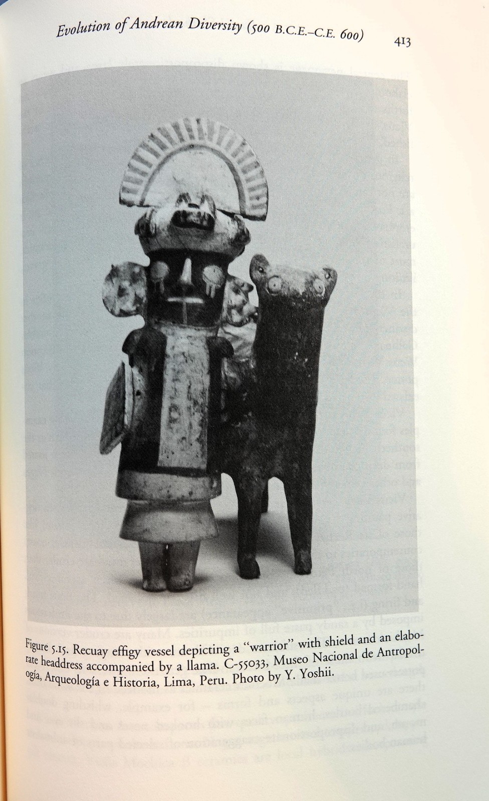 The Cambridge History of the Native Peoples of the Americas Ser.: South America