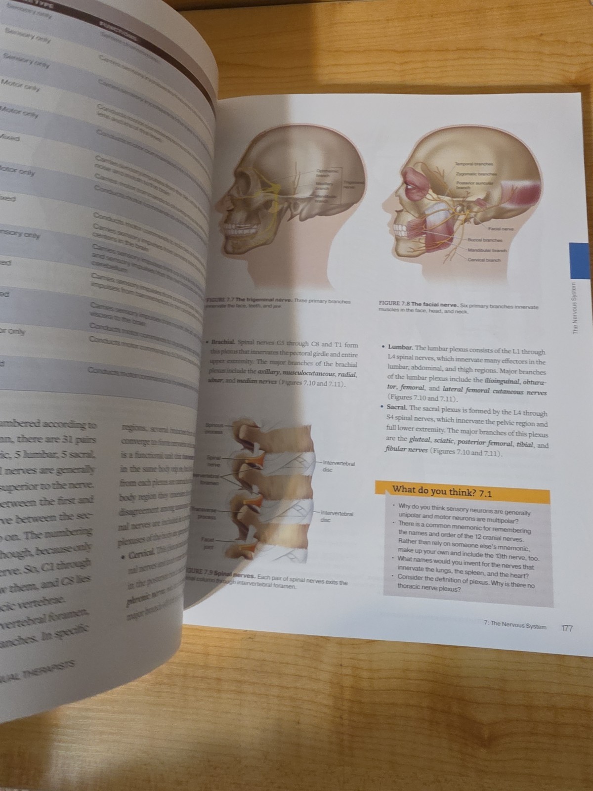 Applied Anatomy & Physiology for Manual Therapists 2nd Edition Archer Nelson