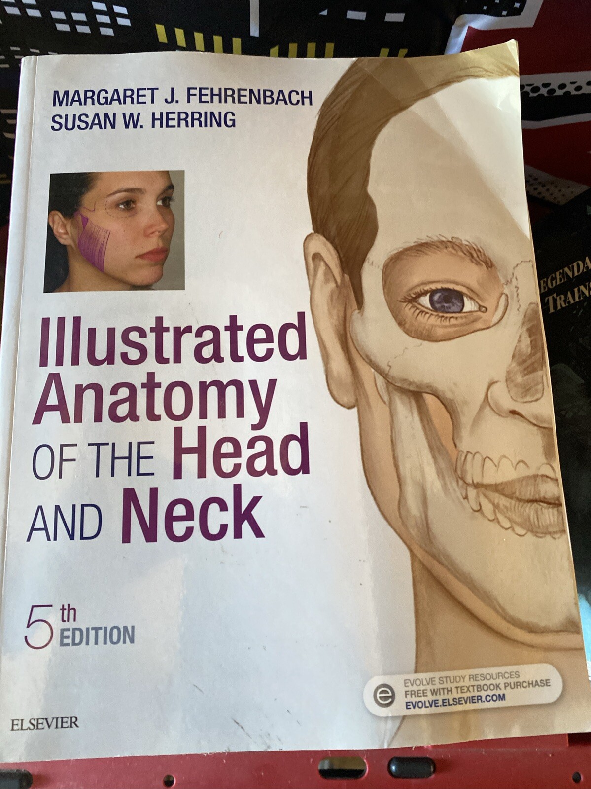 Illustrated Anatomy of the Head and Neck by Margaret J. Fehrenbach and Susan W.