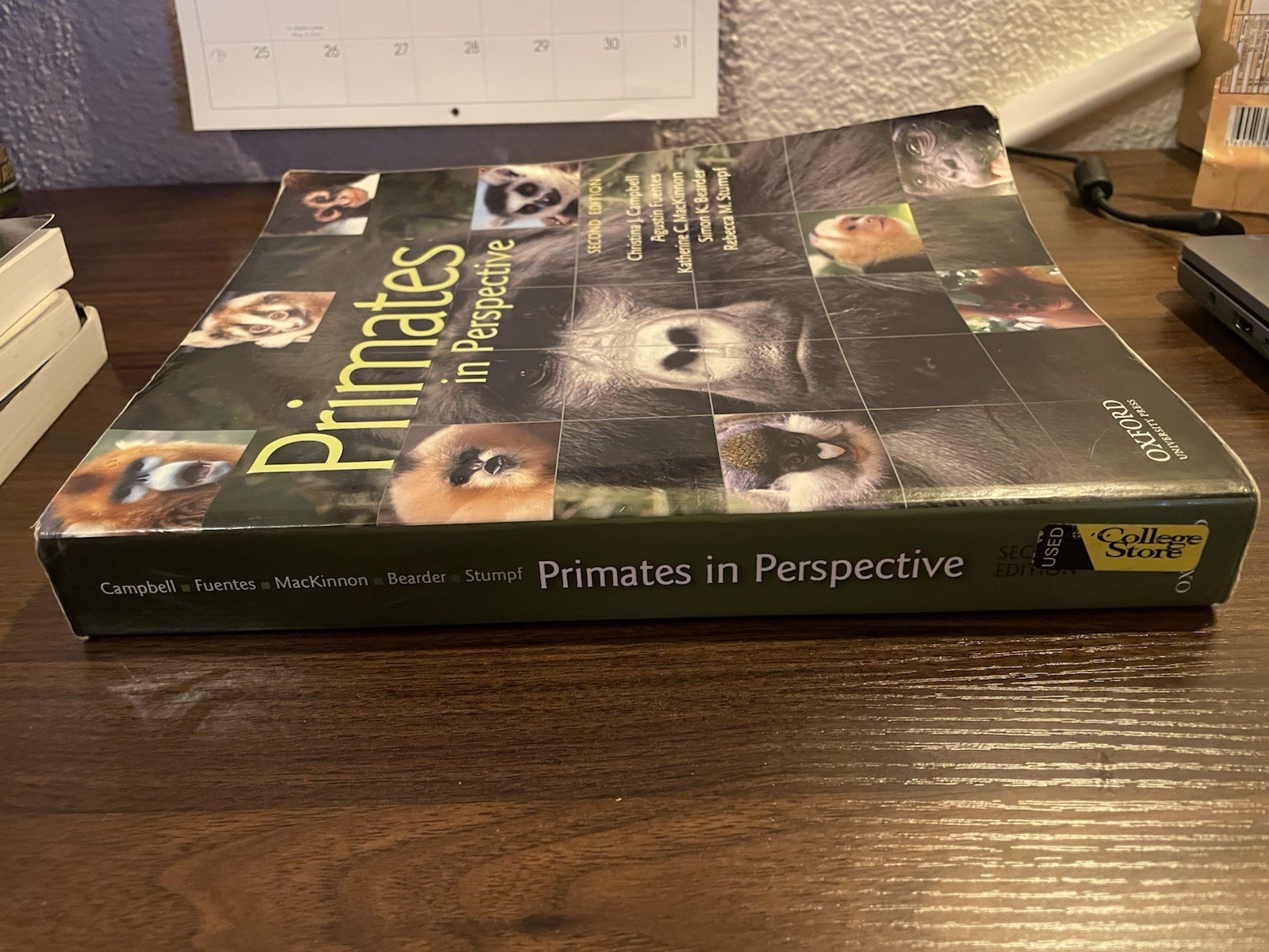 Primates in Perspective by Christina Campbell (2010, Trade Paperback)