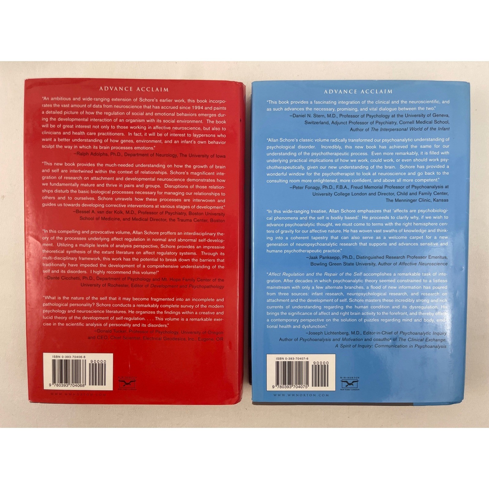 Allan N Schore Affect Regulation 2 Vol Set Disorders Repair of the Self 1st Ed