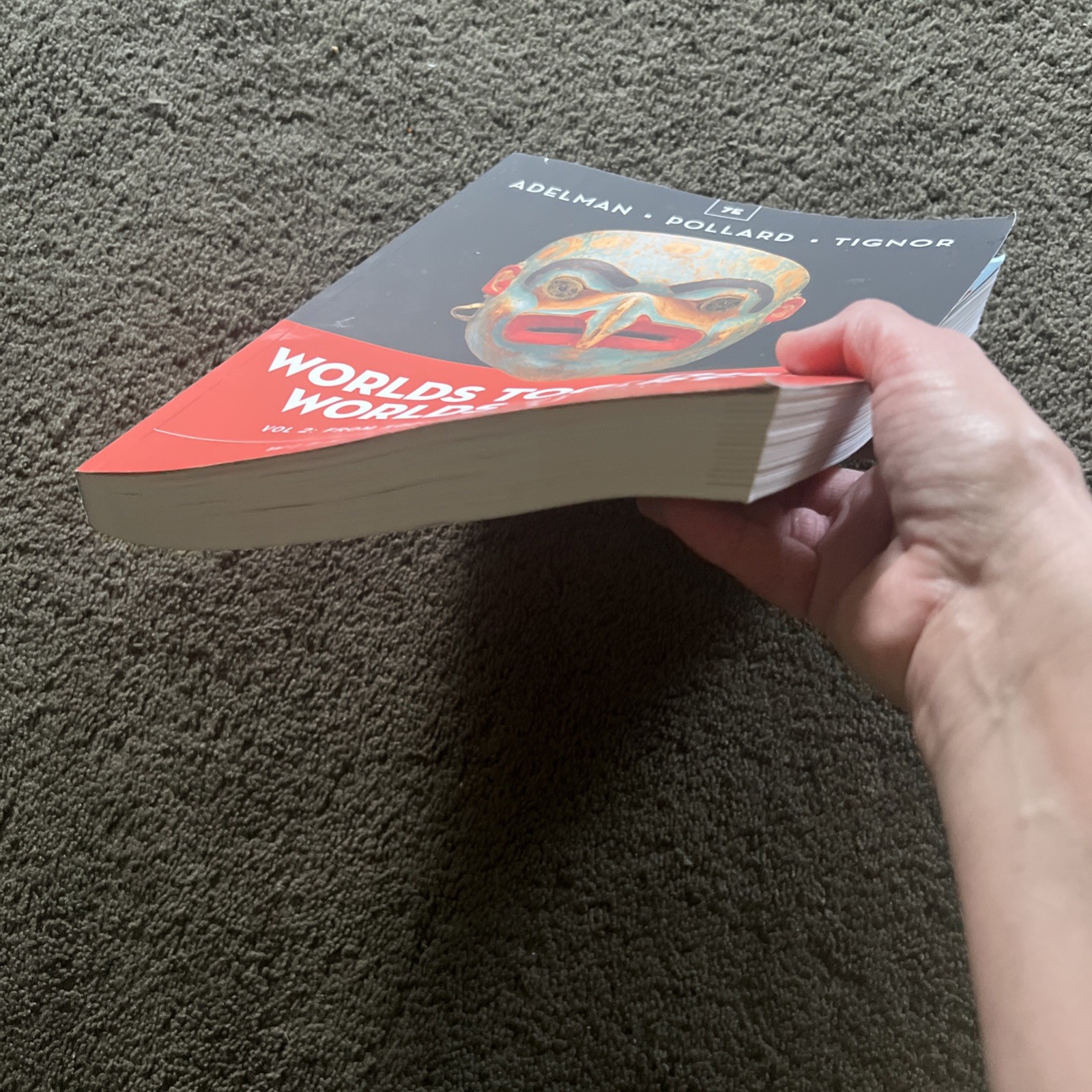 Worlds Together, Worlds Apart (Volume 2) 7th Edition. Excellent